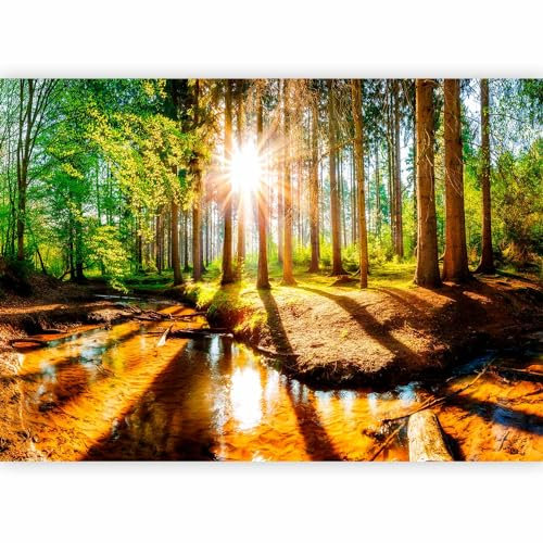 murando - Photo Wallpaper Landscape 350x256 cm - Non-woven Premium Art Print Fleece Wall Mural Decoration Poster Picture Design Modern - Forest Sun green Nature Trees Leaves Water c-B-0267-a-a
