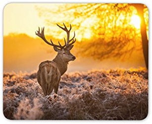 Winter Deer Mouse Mat Pad Sunrise Stag Animal Xmas Computer PC #8110
