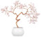 mookaitedecor 8-9.5 Kristall geldbaum mit Keramiksockel Bonsai Feng Shui Figur Kristall Baum Dekoration für Büro Heim deko, Rosenquarz Stein