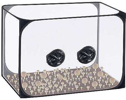 Hodeffior Pop-Up-Pilz-Zelt-Set, 90,9 x 58,9 x 57,9 cm, tragbar, Mykologie, Rauchhaube, Anzuchtstationen, Schwarz