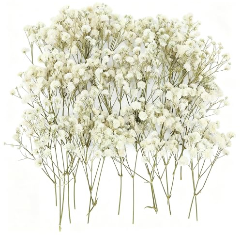 ForestM 100PCS Dried Pressed Flowers,Natural Baby Breath Dried,Dry Flowers | Gypsophila Mini Breath Flowers,Real Natural Gypsophila for Vase,Crafts, Resin Art Mini Mixed Floral Set for DIY,Wedding Card