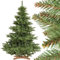 FAIRYTREES Weihnachtsbaum künstlich NORDMANNTANNE, grüner Stamm, Material PVC, inkl. Holzständer, 150cm