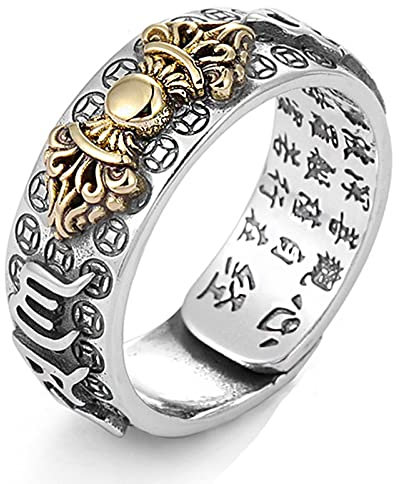 Feng Shui PiXiu Mantra Ring,Kucheed Silberne Buddhistische Glücks Fingerringe,MANI Amulett Mantra Schmuck,Doppelter Schutz Reichtum Liebe Gesundheit Band,Jahrgang Verstellbare Ringe Geschenk (G)