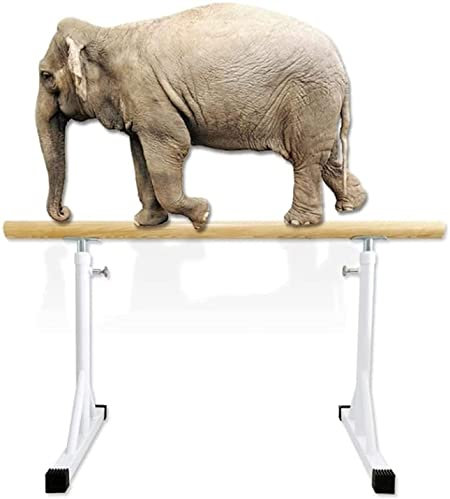 Tragbare Ballettstange für Erwachsene, Zuhause, Kinder, verstellbar, freistehend, Tanzausrüstung, ideal für Übungen, Balance, Aufbau des Kerns