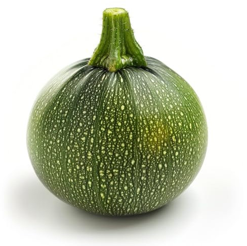 Zucchini-Samen, rund, 25 Stück SemiSauvage Permaculture