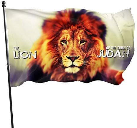 Drapeau Ali Yee Tribe of Judah Lion 0,9 x 1,5 m – Drapeau résistant aux UV pour extérieur, maison, porche, décoration de vacances, drapeau de jardin.