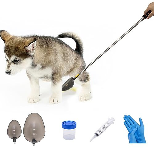XiyaxiVici Collecteur d'urine pour Chiens et Chats avec Seringue télescopique de 20 ML et Gobelet à échantillon de 40 ML Réutilisable Pratique Prélèvement Propre d'un échantillon d'urine