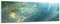Glasbild - Regenwald in Hawaii - 120 x 40 cm - Deko Glas - Wandbild aus Glas - Bild auf Glas - Moderne Glasbilder - Glasfoto - Echtglas - kein Acryl - Handmade