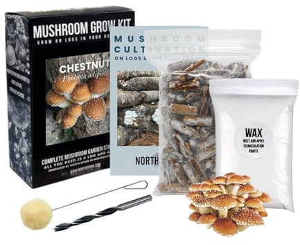 North Spore Organic Chestnut Mushroom Plugs Spawn Kit for Logs, 100 ct