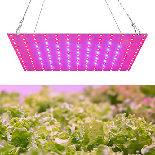 Kavolet LED Grow Light Rot Blau Vollspektrum 81LEDs Pflanzenlampe LED Panel Wachstumslampen für Pflanzen, Pflanzenlicht für Hydroponisches Gewächshaus Zimmerpflanze Wachstum
