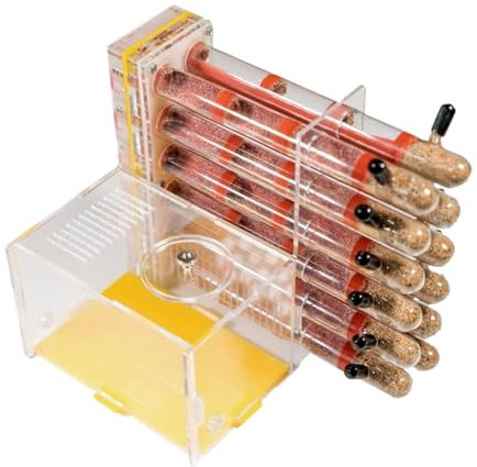 Fourmilière Nid Fourmis Tube De Plâtre Pour Fourmis Adultes, Ferme En Acrylique Transparent, Observation Du Comportement Des Fourmis, Étude Des Fourmis Vivantes Et De La Reine Fourmis Elevage