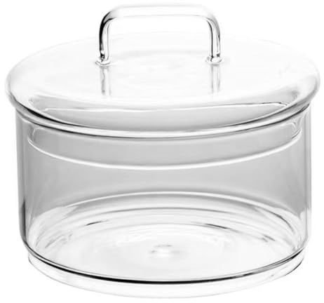 Pflanzenterrarium 1 Satz aus Glas mit Glatter Oberfläche