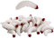 Silikon Soft Maden Wurm Soft Artificial Bread Wurm Angelköder künstliche Brotwürmer Angelköder (Weiß(50pcs))
