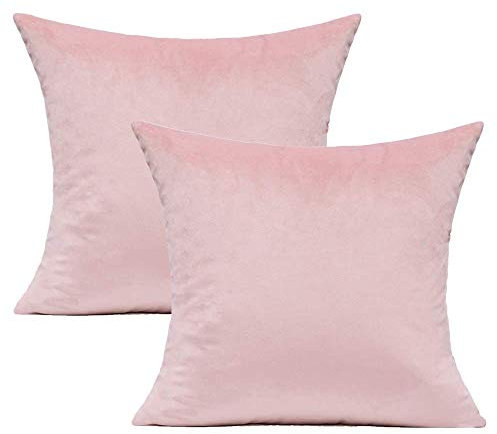 VAKADO Housse de Coussin en Velours Rose 40x40cm Super Doux Taie d’Oreiller Décoration pour Chambre Salon Canapé Lit Chaise Voiture Ensemble de 2