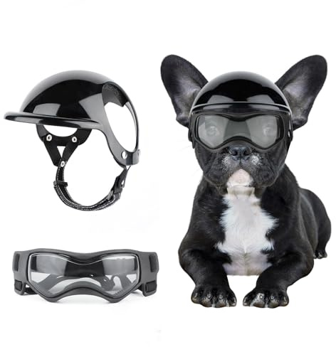 BillionChains Hundehelm und Schutzbrille für kleine Hunde – Haustierbrille, Haustier-Motorradhelm, Hut mit Ohrlöchern, verstellbare Riemen, Sicherheitshelm für Welpenreiten – Schwarz