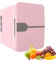 Frigorifero auto portatile Frigorifero USB a doppio uso 6L Frigorifero da campeggio 12V DC 220V AC Cooler da viaggio in auto per viaggio in auto pesca