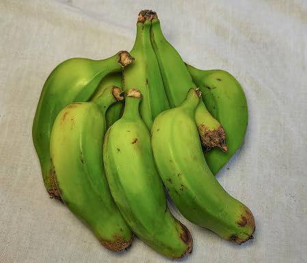 Semi di banana verdi 50 pezzi