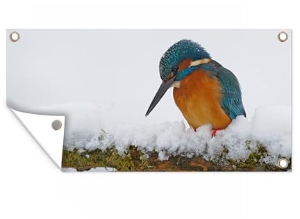 MuchoWow Outdoor-Poster Poster Wanddeko draußen Deko Garten Gartenposter 160x80 cm Eisvogel - Schnee - Winter