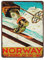Vintage Aluminium-Blechschild – Norwegen The Home of Ski Vintage Retro Travel Holiday Metallblechschild – Neuheit Poster Retro-Metallblechschild Vintage-Schild für Zuhause, Kaffee, Wanddekoration, 30,