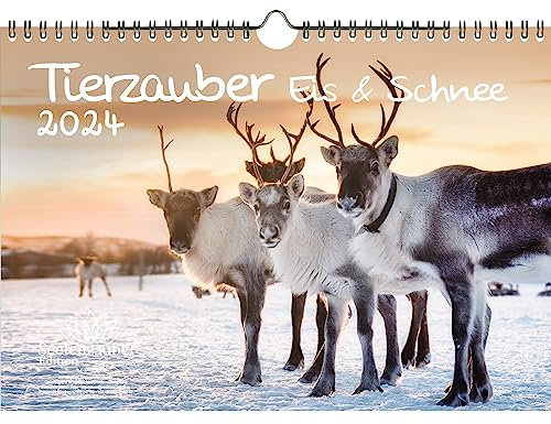 Tierzauber Eis und Schnee DIN A4 Kalender für 2024 Tiere aus dem Polargebiet - Seelenzauber