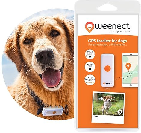 Weenect Dogs 2 - GPS tracker for dogs | Real-time GPS tracking | No distance limit | Smallest tracker on the market | Subscription required