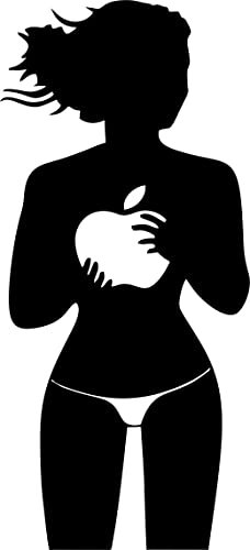 Premium Quality Vinyl Decal Skin Design Art Sticker, Ideal for Apple Macbook Pro Air Mac/Unibody and Other Notebooks (015 - Vollyball)