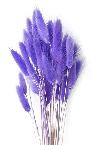 SURUDI Getrocknete Pampasgras Deko, 30X Pampasgras Getrocknet, Kein Geruch Trockenblumen, Trockenblumenstrauß, Natürliche Getrocknete Blumendekoration, Lnnenfotografie Hochzeitsdekoration(lila)
