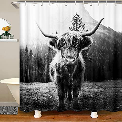 Loussiesd Scottish Hochland Das Vieh Stoff Duschvorhang Textil Rinder Drucken Haken Natürliche Landschaft Wasserdicht Duschvorhang 180x180cm Bauernhoftier Zuhause Dekorativ