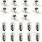 InputMakers - Lot de 10 pcs ampoule E10 de 3,8 V 0,3 A et 10 pcs douille E10 - Kit électrique de petite ampoule et de douille ampoule pour l'artisanat et l'école pour Expériences Circuits Électriques.