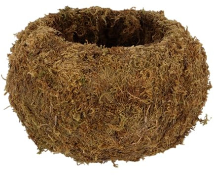 Esschert Kokedama - Bola de musgo (tamaño L, diámetro de 19,8 cm)