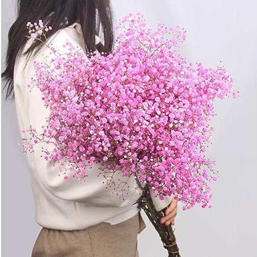Ramo de flores secas de aliento para bebés, 17.2 pulgadas, más de 2500 flores rosas, ramas naturales de Gypsophila para boda, decoración de jarrón de mesa, corona floral, decoración de fiesta de