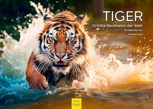 Edition Seidel Premium Kalender Tiger 2025 Format DIN A3 Wandkalender Tierkalender die größte Raubkatze Afrika Welpe Katze Raubtier Wildtier Melanie Viola