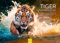 Edition Seidel Premium Kalender Tiger 2025 Format DIN A3 Wandkalender Tierkalender die größte Raubkatze Afrika Welpe Katze Raubtier Wildtier Melanie Viola
