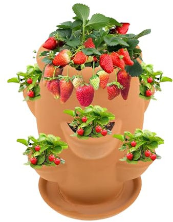 Maceta de Fresas – Jardinera Colgante para Fresas y Flores – Contenedor Vertical de Flores Equipado con contenedor, Accesorios de jardinería para jardín, Patio, balcón y decoración al Aire Libre