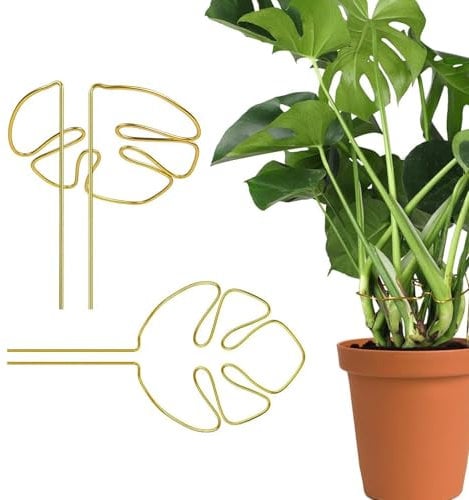 2 Pflanzenstütze Monstera,Monstera Rankhilfe,Rankhilfe Monstera,Calla-Lilien- und Monstera-Stützen,Geeignet für Zimmer- und Gartenpflanzen,Geschenke für Pflanzenliebhaber (Gold)