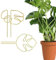 2 Pflanzenstütze Monstera,Monstera Rankhilfe,Rankhilfe Monstera,Calla-Lilien- und Monstera-Stützen,Geeignet für Zimmer- und Gartenpflanzen,Geschenke für Pflanzenliebhaber (Gold)