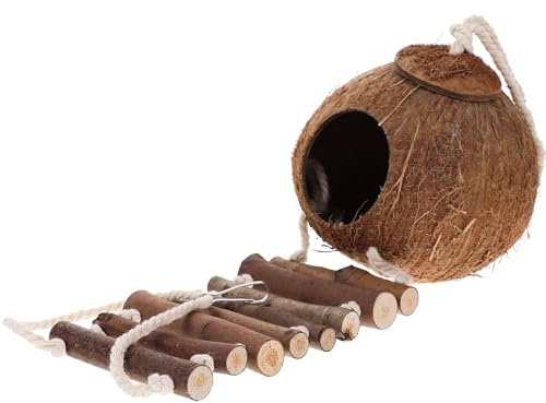 Cachette Délicate pour Reptiles, Grotte Tortue Terrestre, Bois | Abri pour Reptiles Domestiques Marron, Décor de Terrarium Délicat, Échelle pour Habitat de Bernard-l'hermite