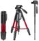 NEEWER Treppiede monopiede portatile in lega di alluminio con testa pan girevole a 3 vie, borsa da transporto per fotocamera e video camcorder, Rosso (red), 177 cm