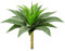 Hollyone Sukkulenten Künstliche Pflanzen Deko 61cm, Agave Pflanze Faux Sukkulente Kunstpflanze, Sukkulente Deko Aloe Yucca Vera, Plastik Pflanzen für Haus Wohnzimmer Deco Büro Küche Fenster