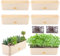 Paquete de 6 macetas rectangulares de 16 x 4.4 pulgadas, macetas rectangulares grandes para alféizar de ventana, macetas de riego automático para interiores con agujeros de drenaje y platillos,