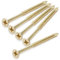 Cauldham Bright Brass Wood Screws #9 x 3 Inch for Door Hinges - 25 Pack