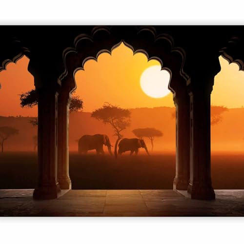 murando Fototapete selbstklebend Afrika 343x270cm Foto Tapete Tapetenfolie Möbelfolie Wandverkleidung Wandtapete Motivtapeten Bildtapete Wohnzimmer 3d Effekt Tiere Savanne Afrika Sonnenuntergang Natur