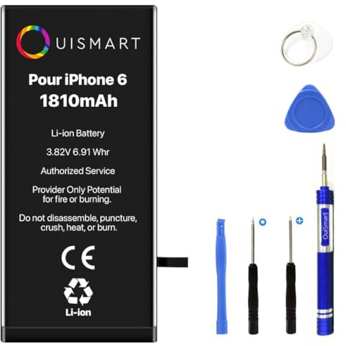 OUISMART® Batterie pour IPHONE 6 Interne Neuve DE Remplacement avec Outils