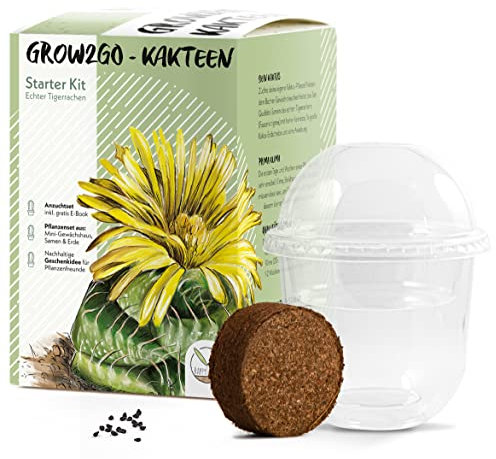 GROW2GO Cactus Starter Kit - Juego de plantación de mini-invernadero, semillas de cactus y tierra - idea de regalo sostenible para los amantes de las plantas (Faucaria Tigrina)