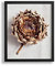 Vogel Design Benno Premium Bilderrahmen Posterrahmen 75,5x98 cm Puzzlerahmen Schwarz Matt weisser Hintergrund und Antireflex Kunstglas