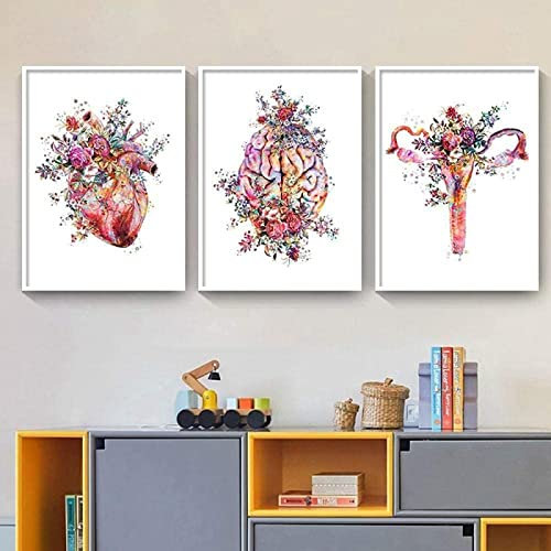 HTWLMM Anatomie Medizin Aquarell Blumen Leinwand Malerei Organe Herz Gehirn Bilder Poster Kunstdruck Wandbilder für Krankenhaus Klinik Deko Rahmenlos (C,3X20X30CM)