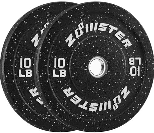 Bumper weight plate (10LB X 2)