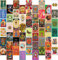 Waschbär Collage Set Wand Collage für Zimmer Dekoration Ästhetische Bilder Wanddeko Vintage Hippie Dunkle Akademie Schlafzimmer Deko Preppy (Retro Vintage)
