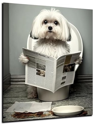 DARO Design - Bilder Deko Gäste WC Wandbild Badezimmer Bad Toilette Kunstdruck Bild auf 6mm HDF 30x20 cm Malteser Wanddeko - lustige Wandbilder Leinwand Poster Aesthetic Room Decor Hund Dog
