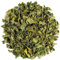Moringa Oleifera Blatt Biologischem Anbau – Bio Des Meerrettichbaums - Organische Trommelstockbaum Morenga Moringa Tee Moringo Moringa Oleifera Tee Moringa Blätter Getrocknet Moringa Blaetter Bio